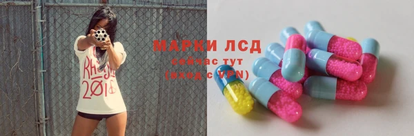 крисы Осинники