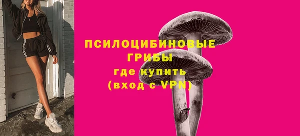 соль ск Балабаново