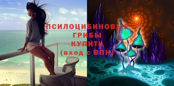 соль ск Балахна