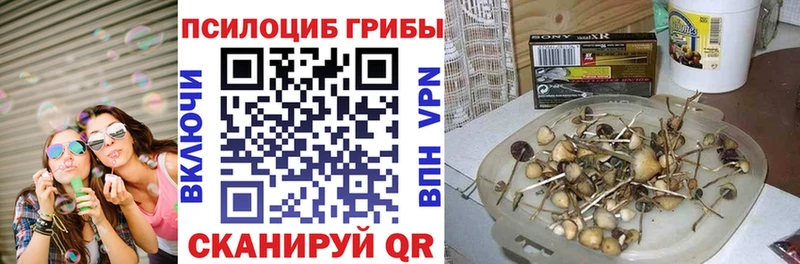 Галлюциногенные грибы Cubensis  Белогорск 